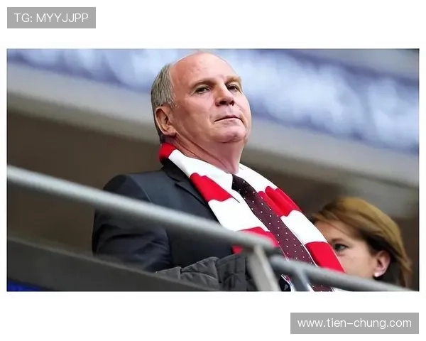 赫内斯揭露图赫尔背后的惊人往事